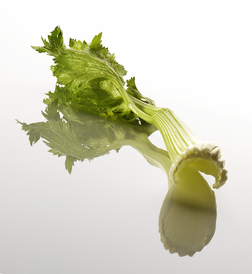 Scott Lanza Photography of celery 