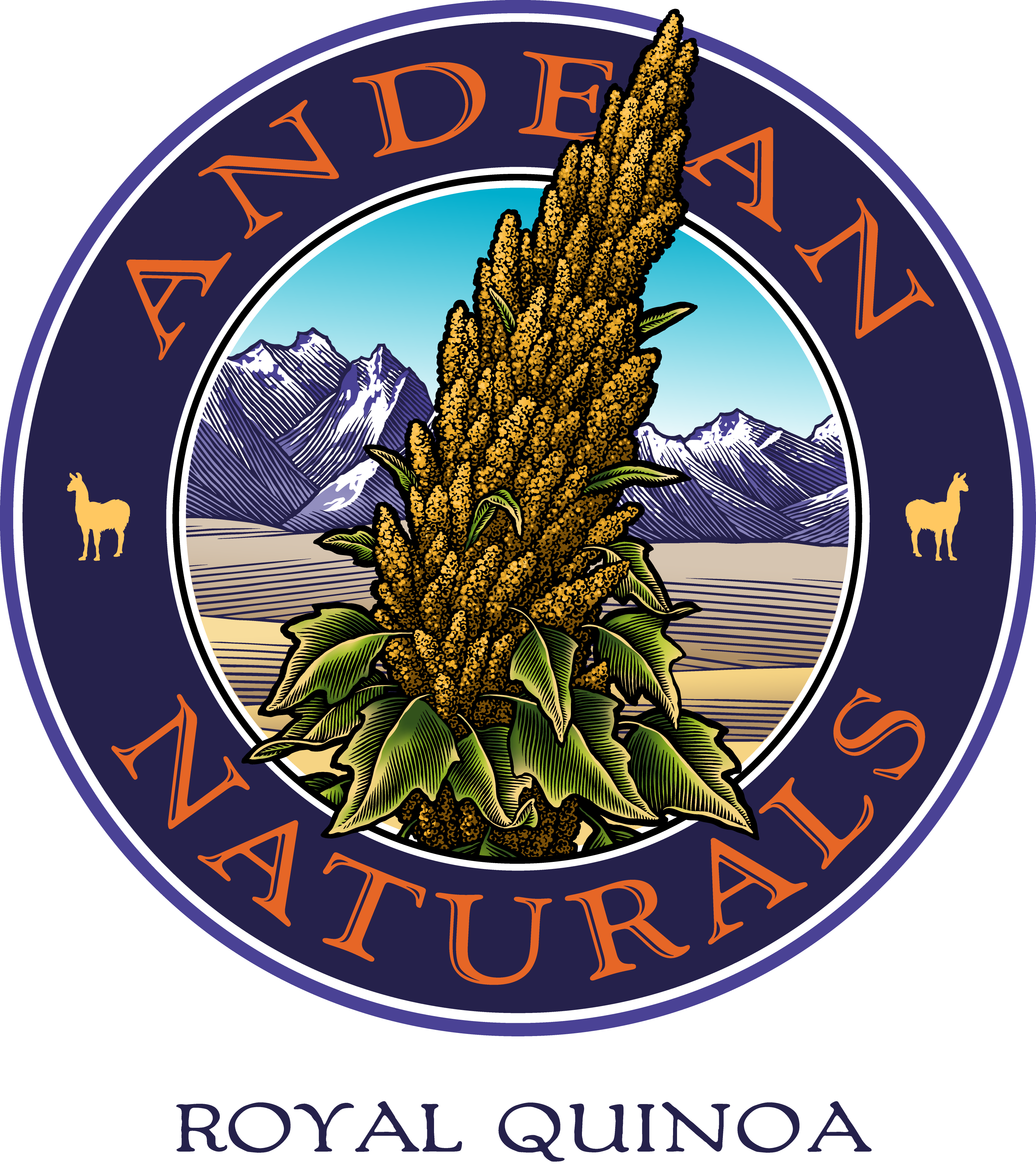 AndeanNatLogo_Logo_badge_color