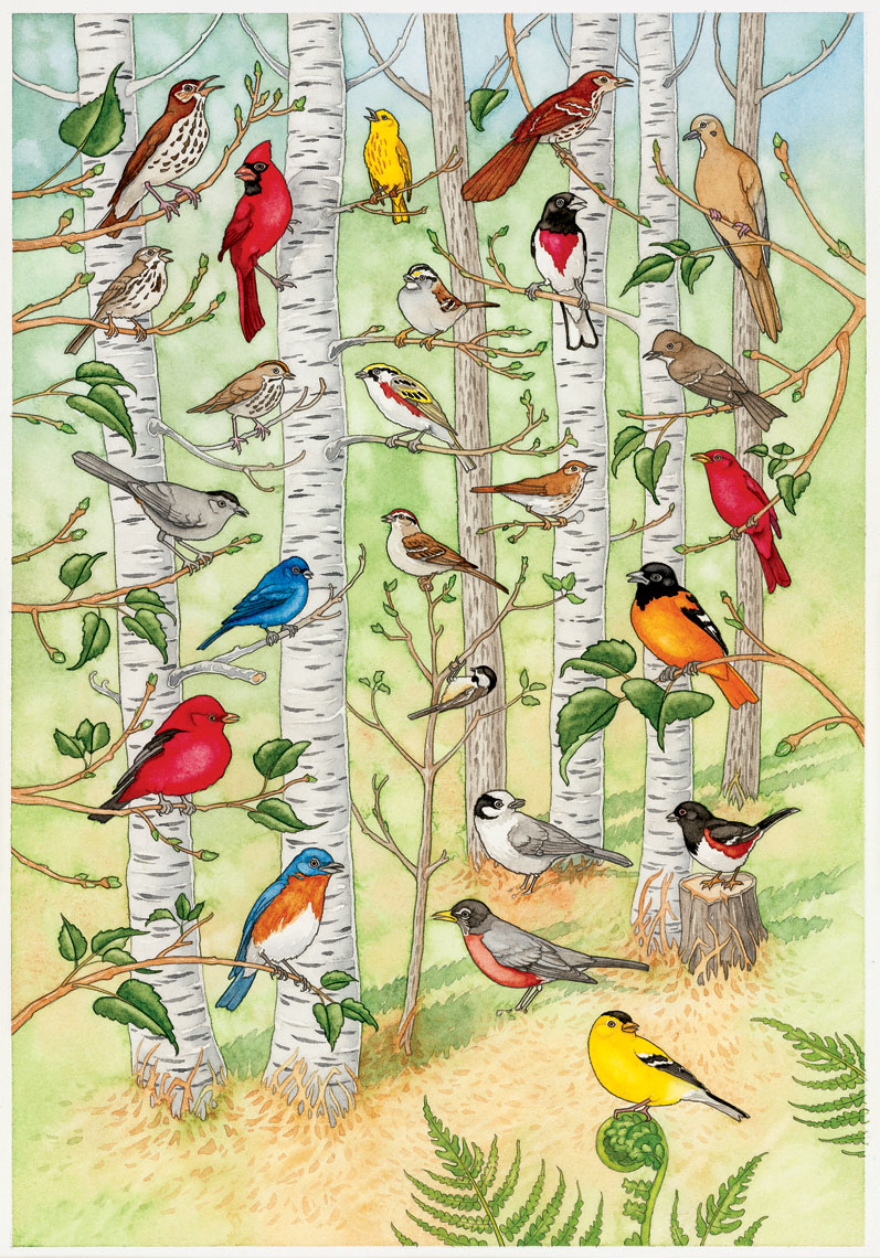 Minnesota-song-birds